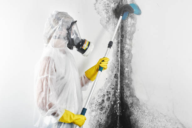 Biohazard Mold Removal in Washington, KS