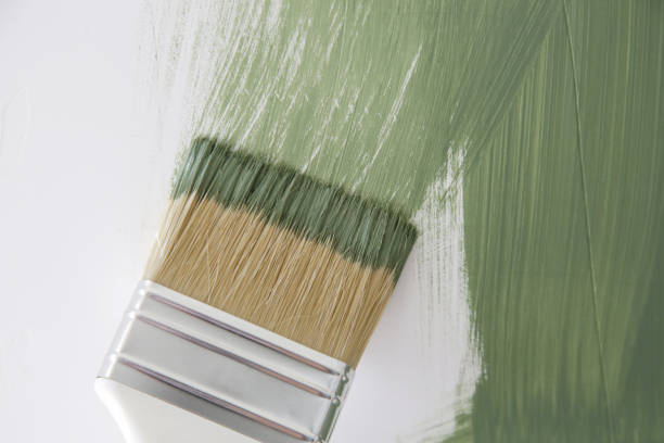Mold Documentation for Insurance Claims in Washington, KS