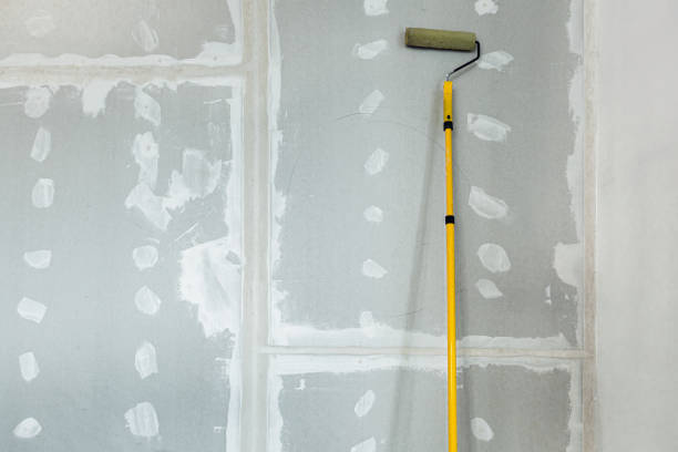 Best Emergency Mold Remediation  in Washington, KS