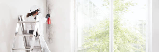 Best Commercial Mold Inspection  in Washington, KS